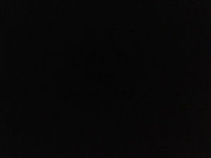 Meet your Posher, Chloe